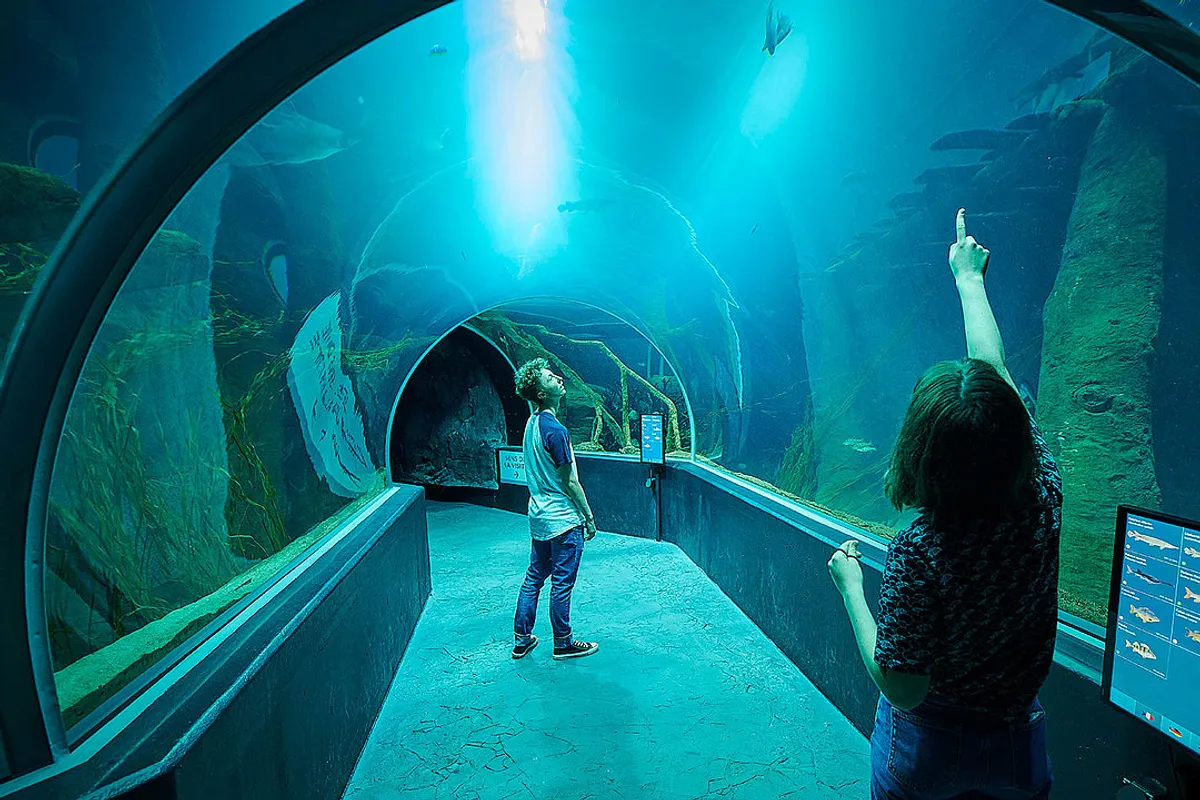 AQUATIS Lausanne - aquarium near Morgins