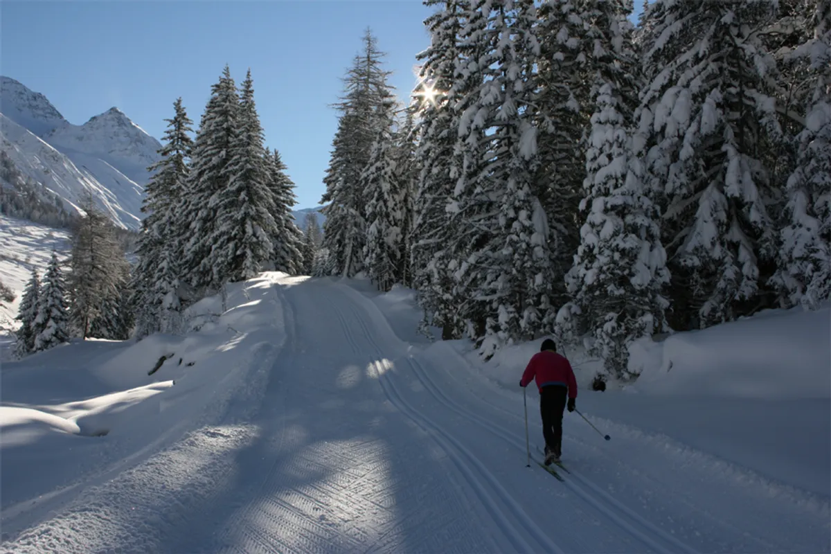 Cross-country Skiing in Morgins near Morgins