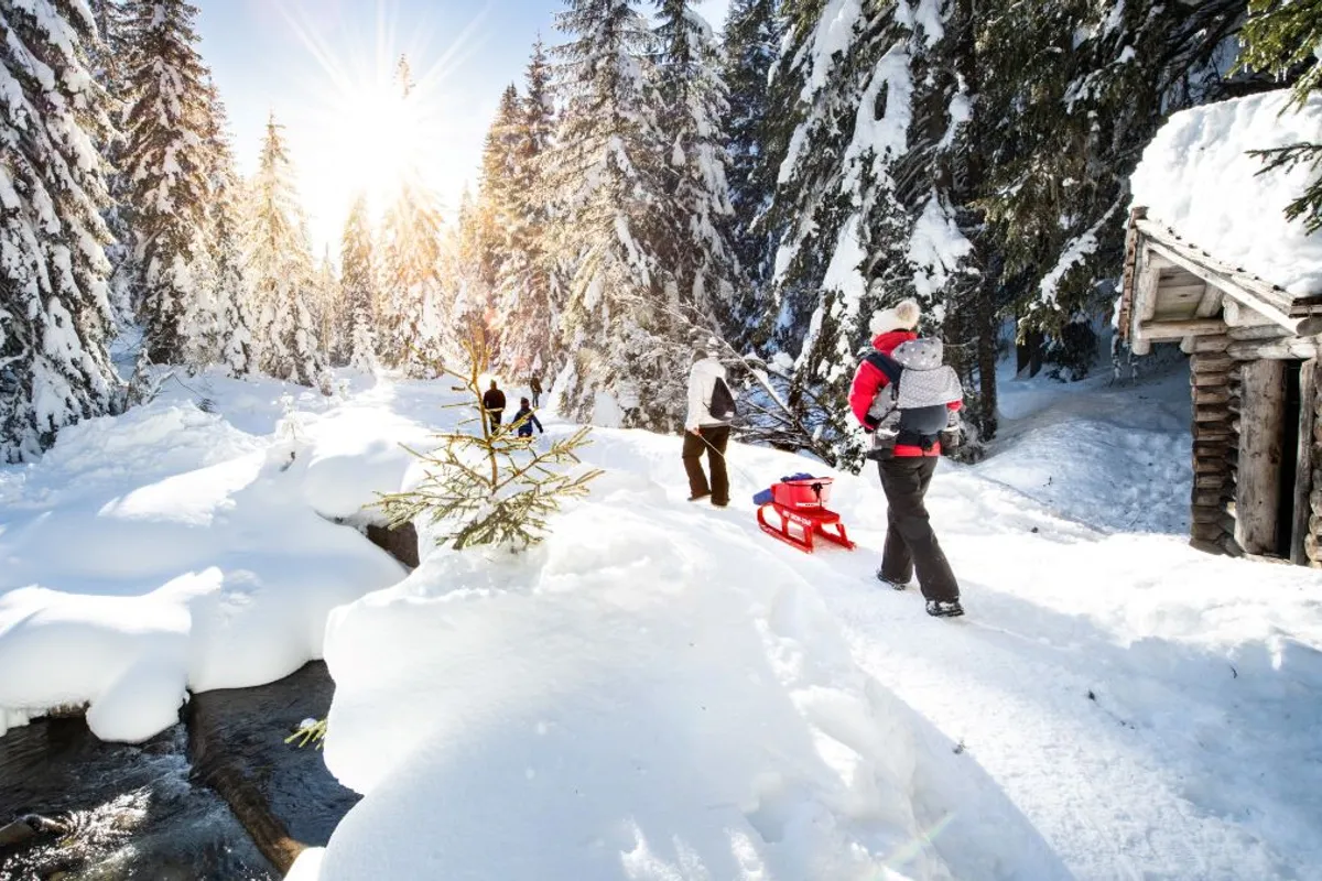 Vallon de They Winter Hike near Morgins